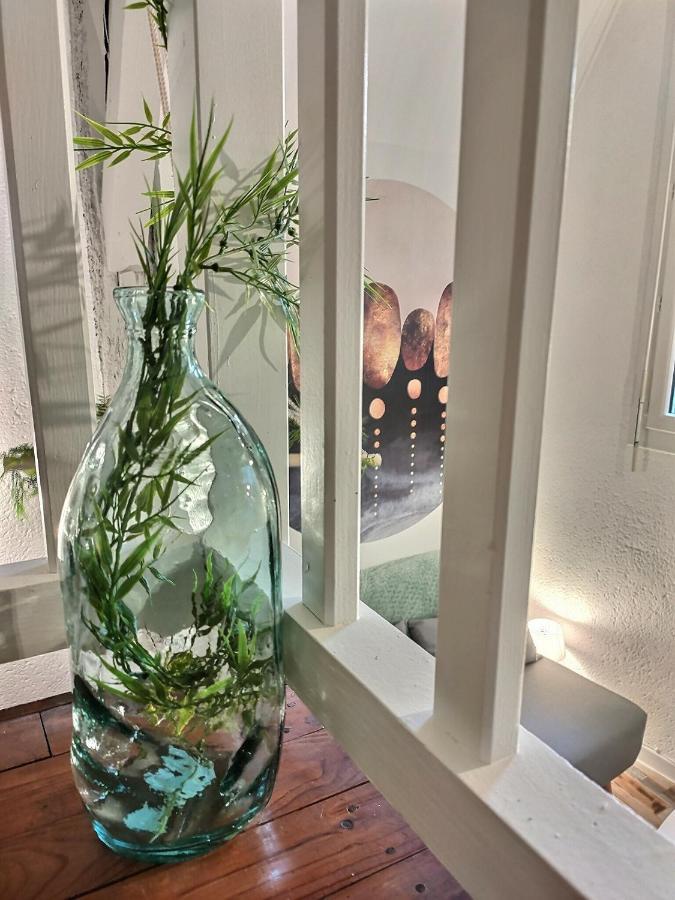 Le Temps Suspendu - Au Coeur D'Albi Apartment ภายนอก รูปภาพ