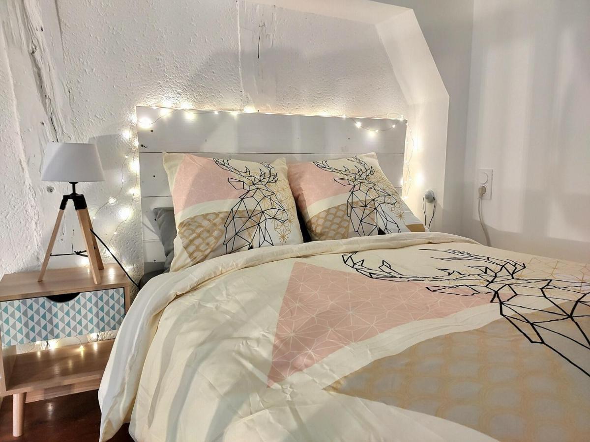 Le Temps Suspendu - Au Coeur D'Albi Apartment ภายนอก รูปภาพ